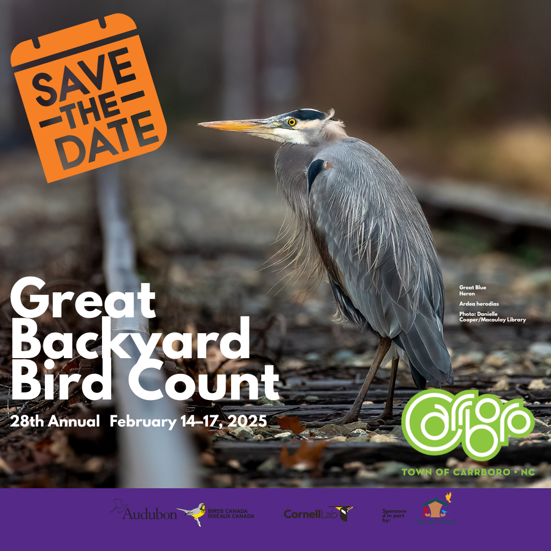Save the date graphic for Great Backyard Bird Count
