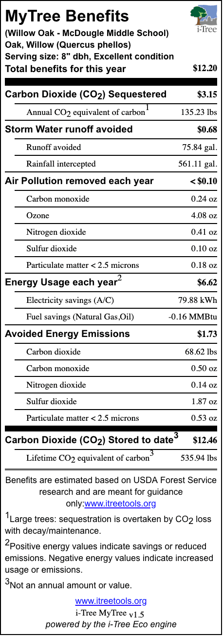 Willow Oak McDougle Middle