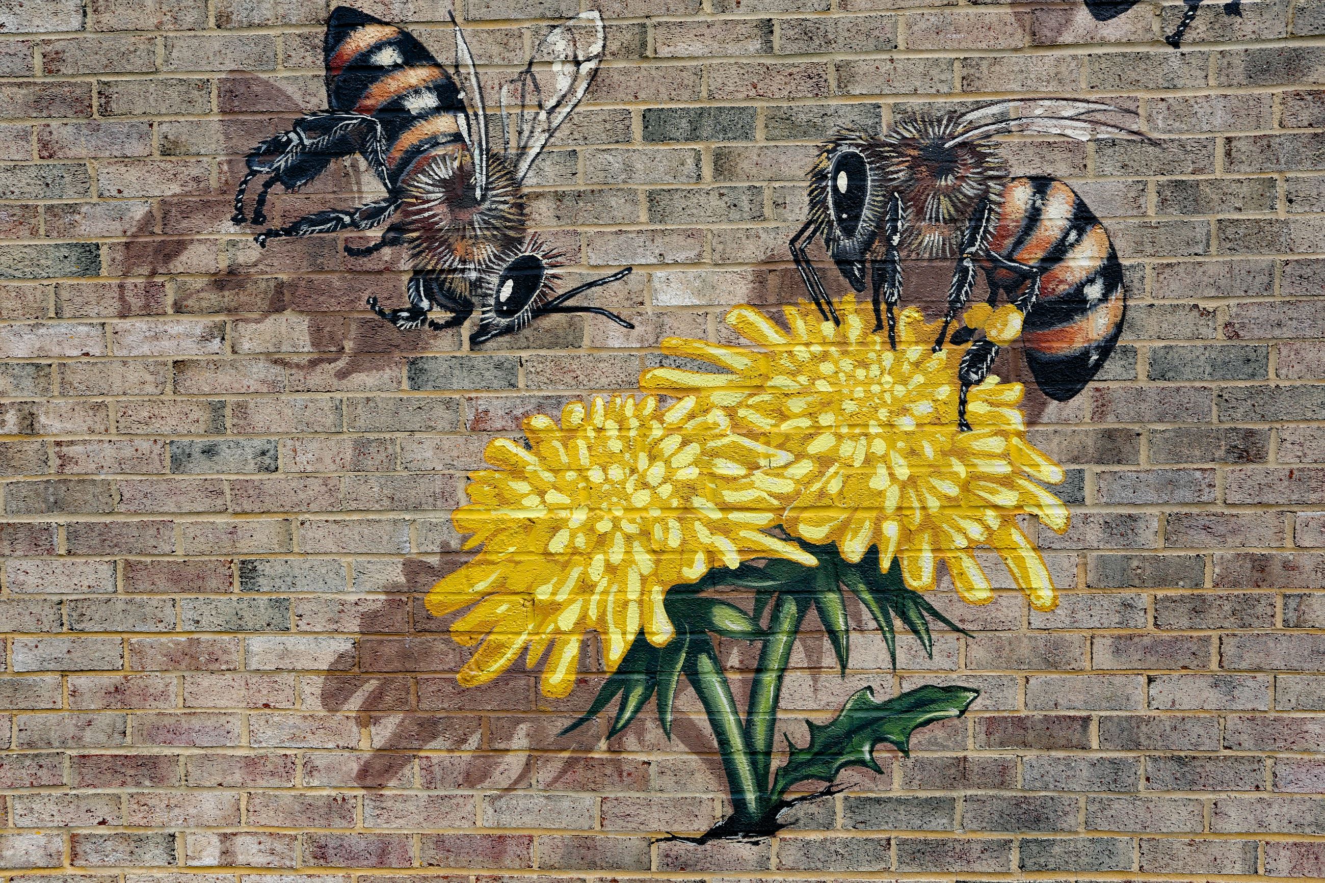 bee mural