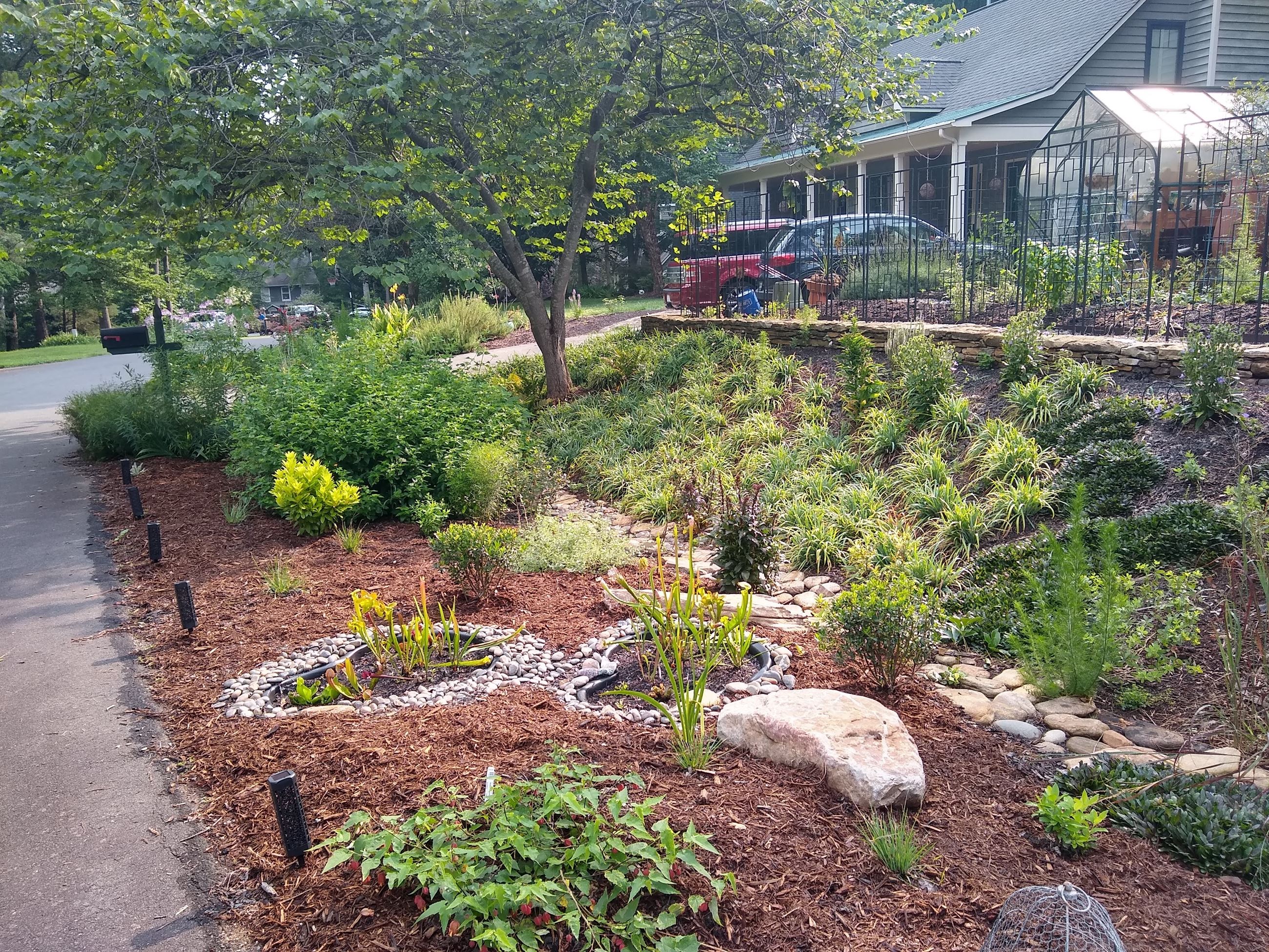 Planted Swale Garden