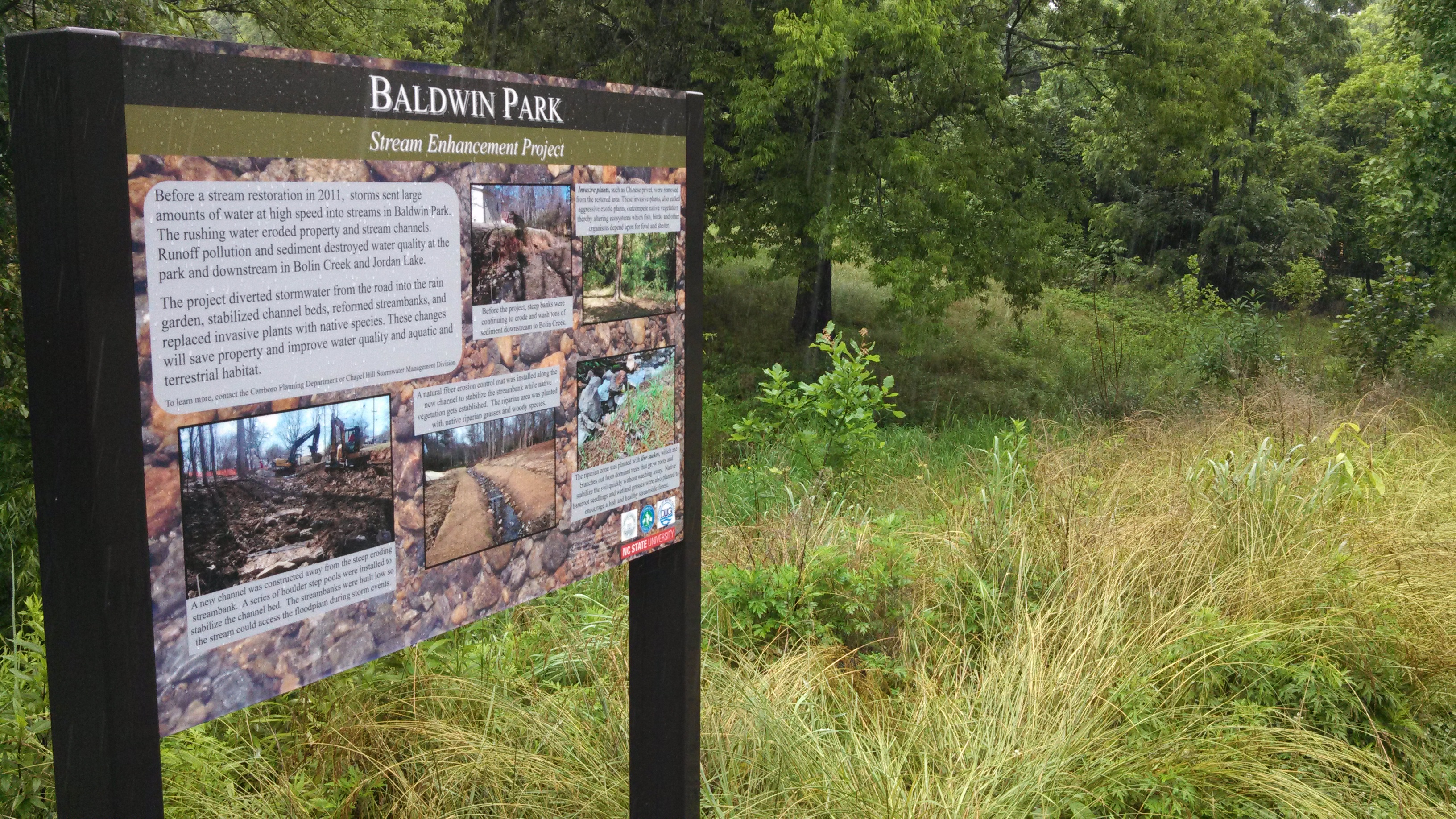 Baldwin Stream Enhancement